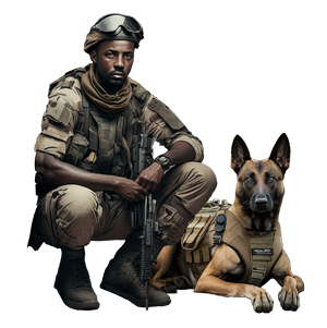 Military Canine Training Equipment